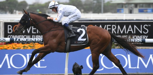 Exciting three-year-old nearing return
