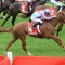 Heart ready to resume career at Sandown