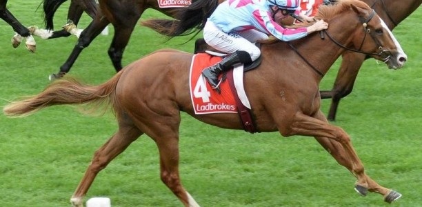 Heart ready to resume career at Sandown