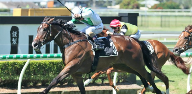 Exciting future ahead for Batangas Entry