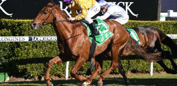 Wolfe ready to go in Australia Day Cup