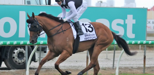 Isotope cleared for a Sydney autumn cameo