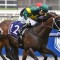 Colt adds star power to Expressway Stakes