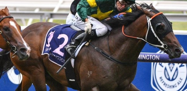 Colt adds star power to Expressway Stakes