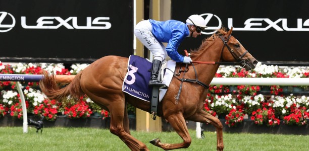 Punters plunge on two-year-old filly at Caulfield