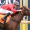 Grahame Begg’s filly gets the Dosh at Caulfield