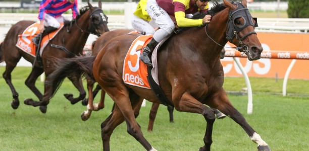 Racing punter turns $4 multi bet into $24,000