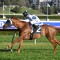 Injured star returns with impressive trial win