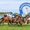 Country Cups winner makes detour to Caulfield