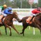 Blue Diamond Stakes numbers dwindled down