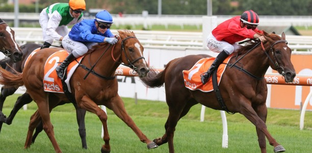 Blue Diamond Stakes numbers dwindled down
