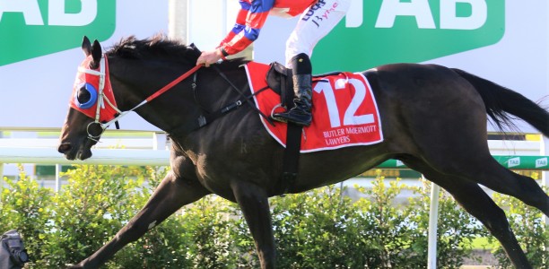 Trevor Miller eyeing off another Sunshine Coast feature