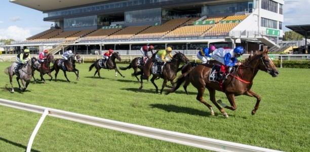 Punters go for Gold in the Sunshine Coast Cup