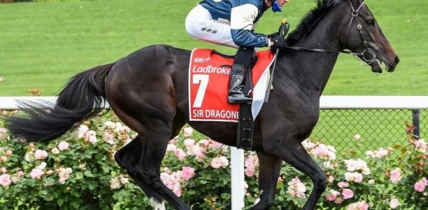 Sir Dragonet’s return depends on track