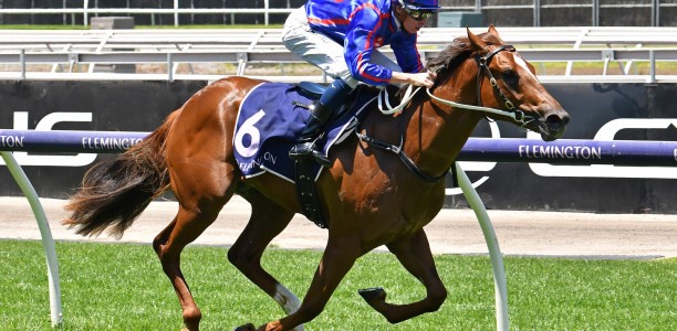 Punters hoping to Profiteer from Inglis Millennium
