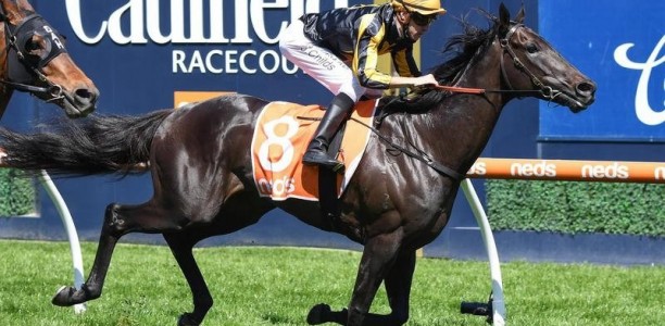 Nonconformist to continue fresh Cup trend