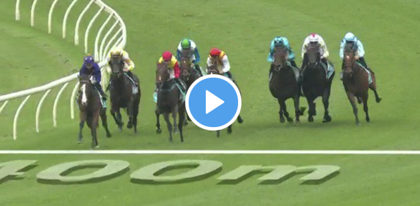 Eskimo Prince Stakes results and replay – 2021