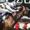 Hobart Cup: Exciting imported stayer heavily backed
