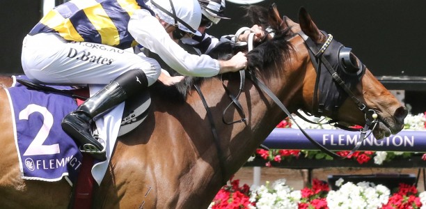Hobart Cup: Exciting imported stayer heavily backed
