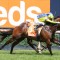 General Beau to be paid up for Blue Diamond Stakes field