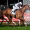 Pippie ready for flying Flemington finale