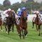 Bivouac opens at short odds in Black Caviar Lightning Stakes