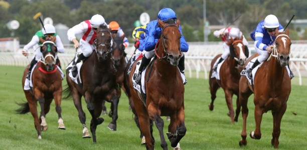 Bivouac opens at short odds in Black Caviar Lightning Stakes