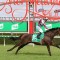 Star stayer injured, out of the Autumn