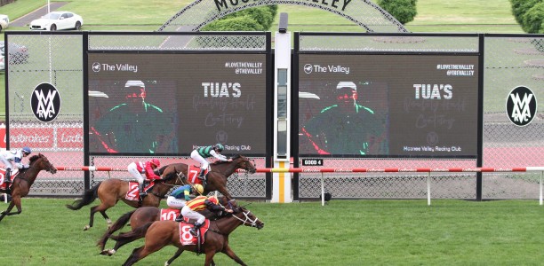 Racing to go ahead without crowds in Victoria