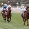 Black Caviar Lightning Stakes: Punters think its a match race