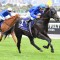 Damien Oliver with tough Blue Diamond decision