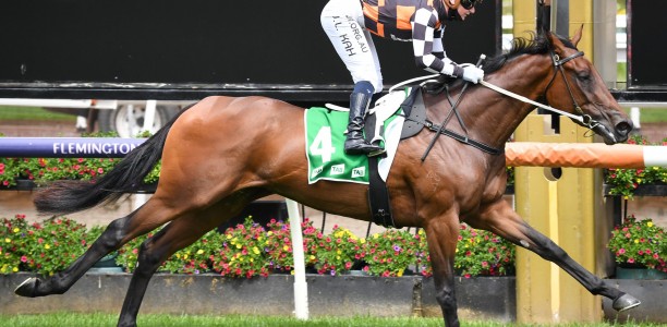 Zou Dancer romps home to win at Flemington