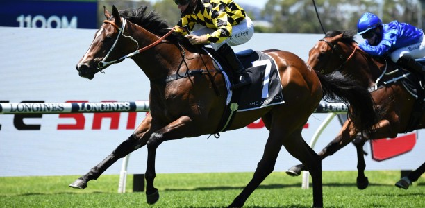 Leading Golden Slipper contender suffers setback