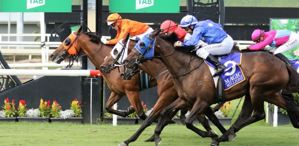 The Harrovian to take easier start in Melbourne