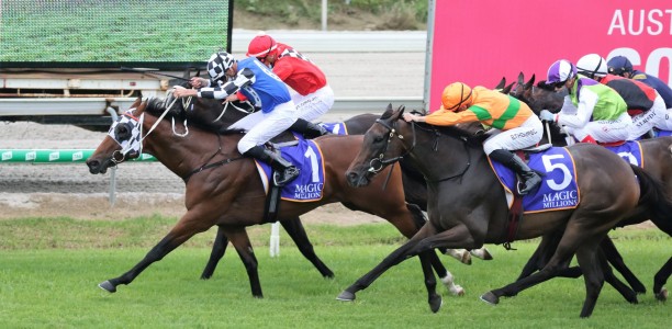 TAB opens Provincial Championships Final markets