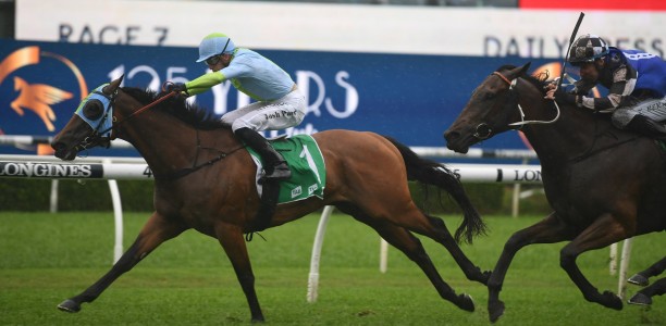 Positive Peace heads odds for the Millie Fox Stakes