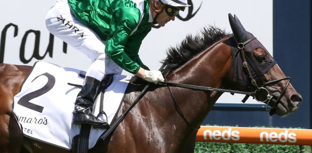 Blue Diamond Stakes favourite under injury cloud