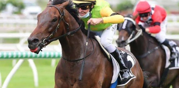 Whozyadeeler trounces his rivals again
