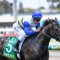 Blue Diamond Stakes: Jockey bullish about back-to-back wins