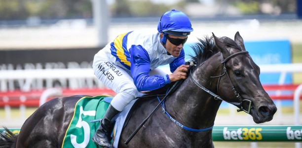 Blue Diamond Stakes: Jockey bullish about back-to-back wins