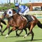 Hobartville Stakes: Unheralded colts out to upstage big guns
