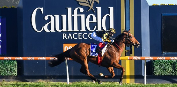 Star SA galloper heavily backed in Futurity Stakes