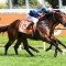 Queen and Sky share Oakleigh Plate honours