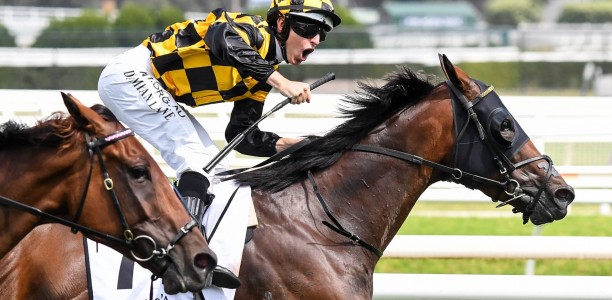 Futurity Stakes – What the jockeys said