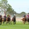 Wangaratta Cup