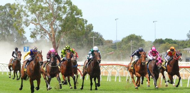 Wangaratta Cup