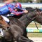 Melbourne Cup favourites racing career in doubt