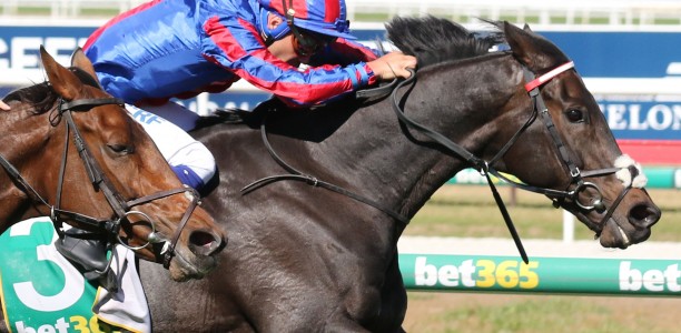 Melbourne Cup favourites racing career in doubt