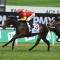 Star English jockey to team up with Golden Slipper contender