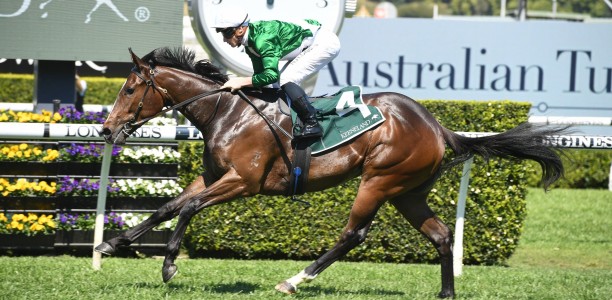 Enthaar to press onto the Golden Slipper